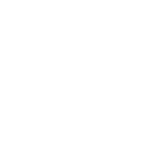 LOGO-RENAULT-TRUCK-BLANC