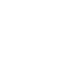 Logo-FIAT-Pro_blanc