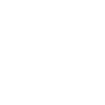 Logo-FORD_blanc