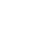 Logo-IVECO_blanc